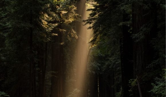 john-towner-3Kv48NS4WUU-unsplash